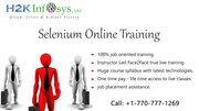 Automation Testing Online Training and Placement Assistance in USA