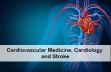  Global Conference on Cardiovascular Medicine,  Cardiology and Stroke